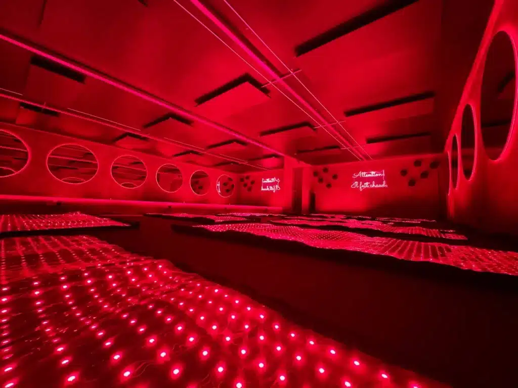 Demystifying Photobiomodulation: What Is Irradiance in Red Light Therapy? 5 What Is Irradiance in Red Light Therapy 02 17861747721579737412